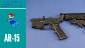 Disassemble an AR-15 Lower – Complete Step-by-Step Breakdown