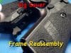 Sig Sauer Frame Assembly – P229 Grip and Controls