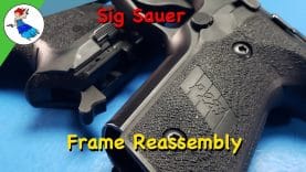 Sig Sauer Frame Assembly – P229 Grip and Controls