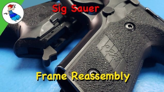 Sig Sauer Frame Assembly – P229 Grip and Controls