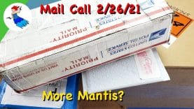 1712949186_maxresdefault.jpg