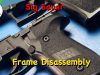 Sig Sauer Frame Disassembly – P229 Grip and Controls
